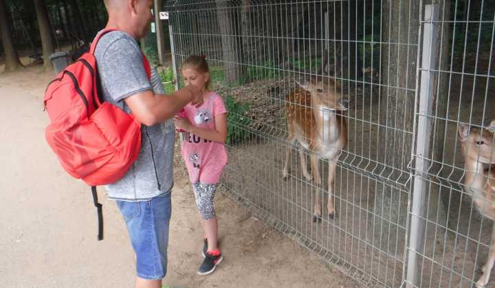 Gyermeknap 2018 a nyíregyházi állatkertben - Deň detí 2018 v ZOO