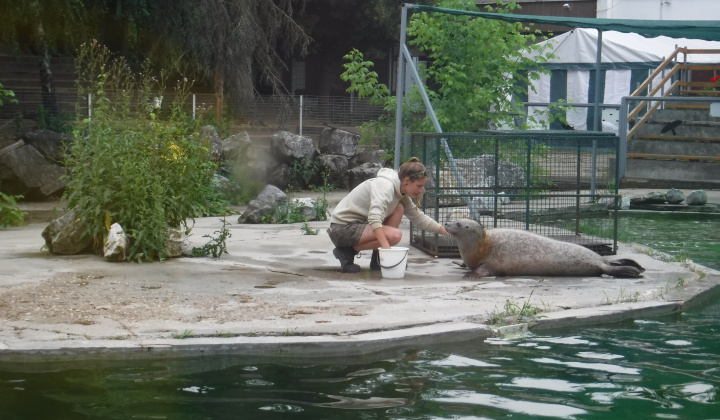 Gyermeknap 2018 a nyíregyházi állatkertben - Deň detí 2018 v ZOO