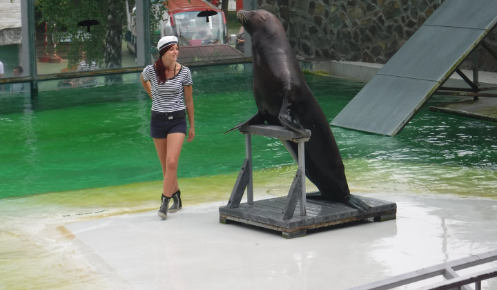 Gyermeknap 2018 a nyíregyházi állatkertben - Deň detí 2018 v ZOO