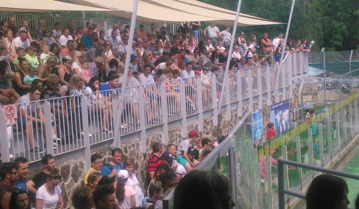 Gyermeknap 2018 a nyíregyházi állatkertben - Deň detí 2018 v ZOO